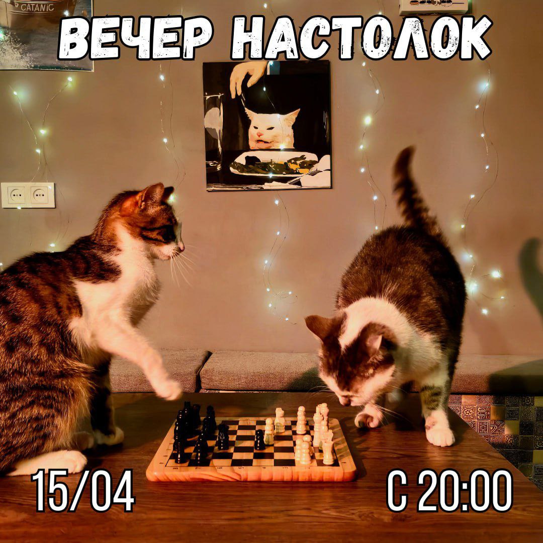 Вечер настольных игр