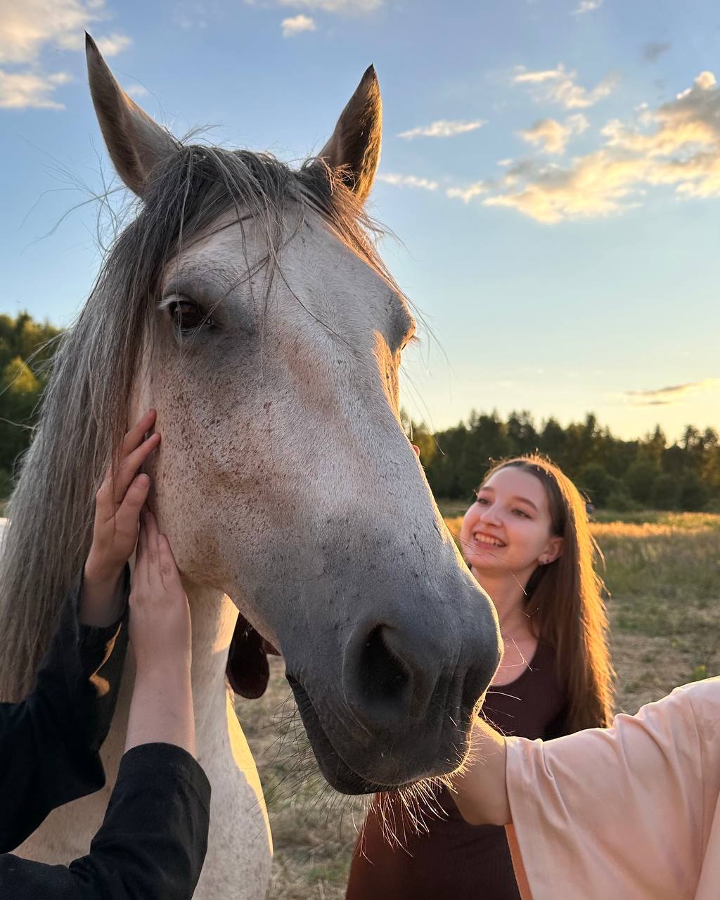 Посещение приюта лошадей