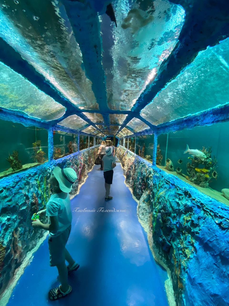 Океанариум