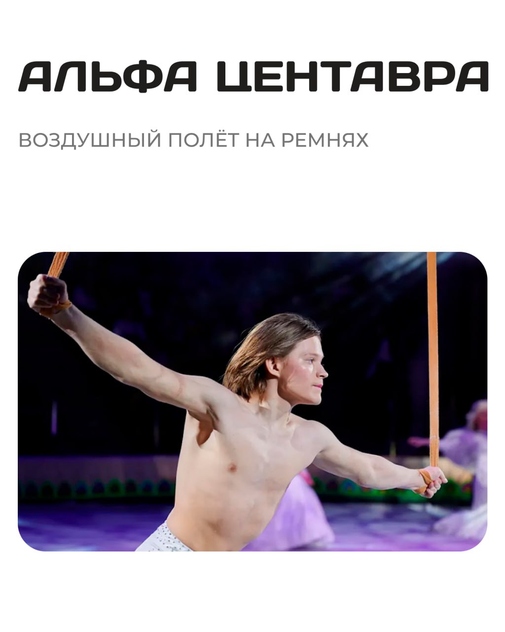 Зов джунглей