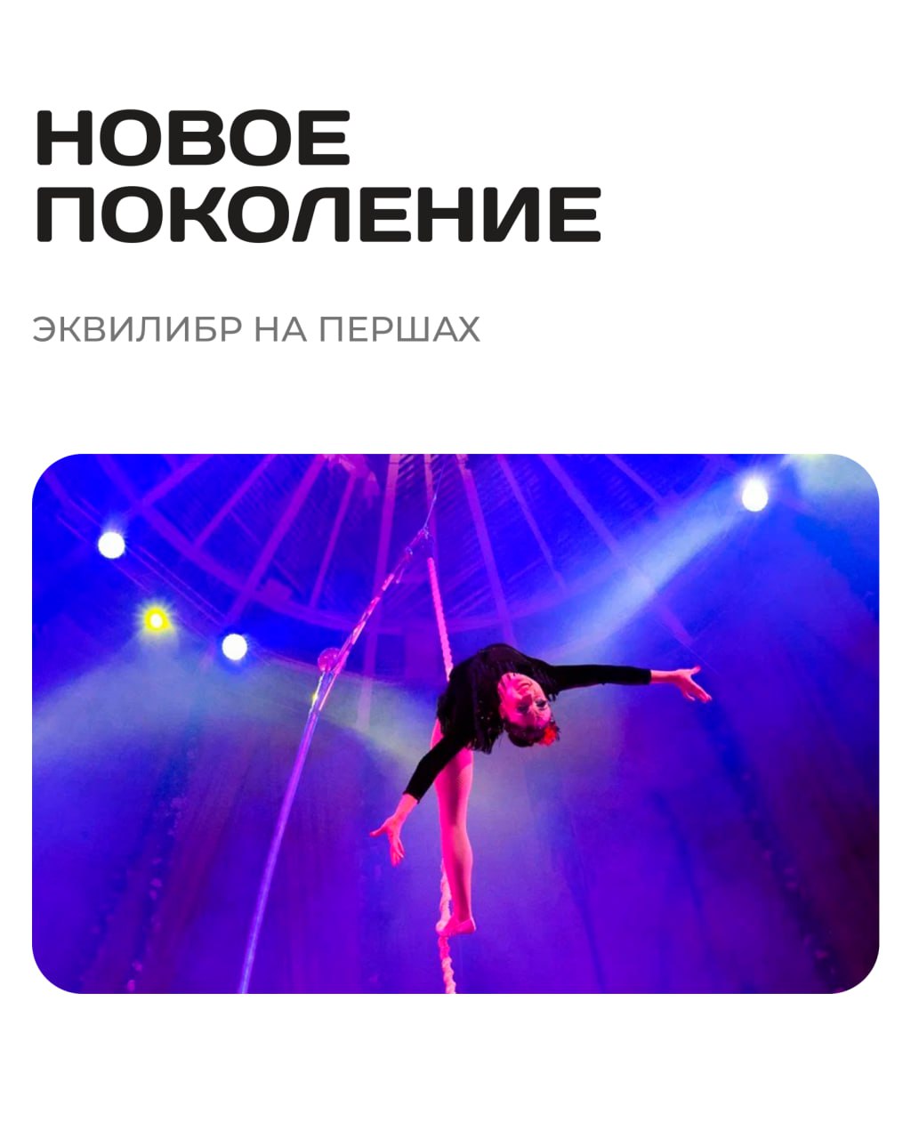 Зов джунглей