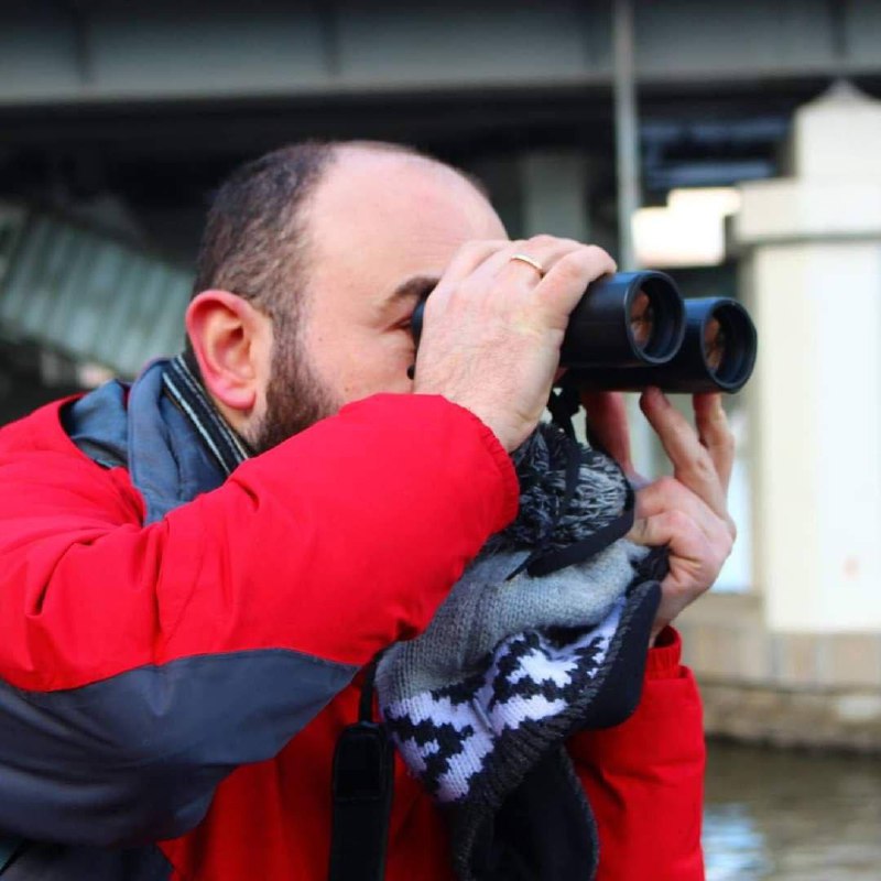 Встреча с орнитологом в «Северном лектории»