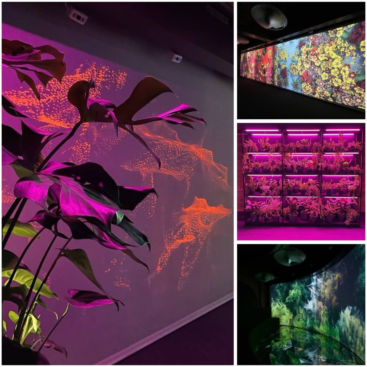 Выставка Сады