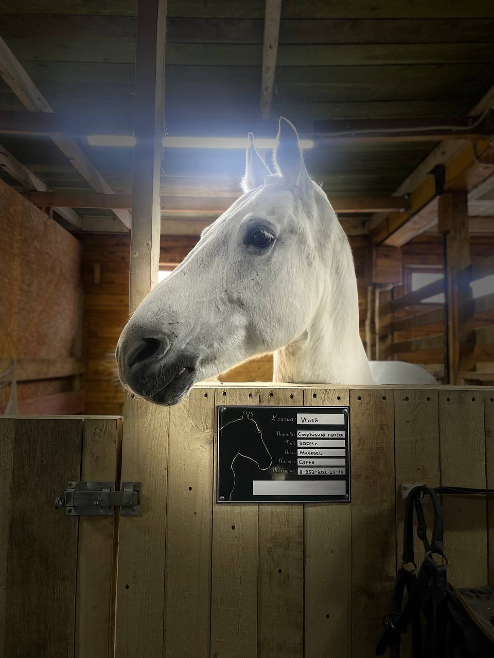 Саамская экскурсия и обновленная программа мероприятий