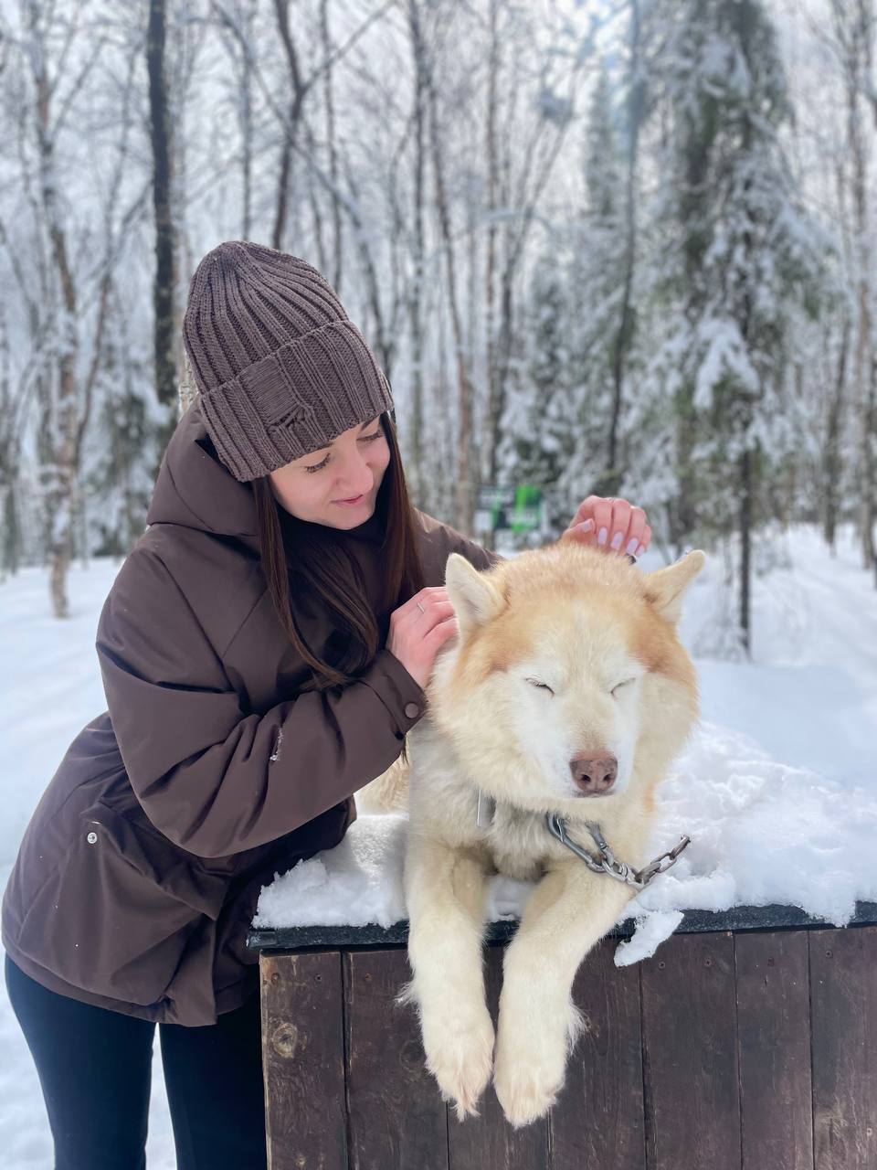 Саамская экскурсия и обновленная программа мероприятий