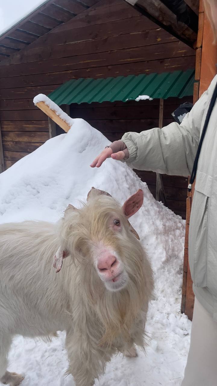 Саамская экскурсия и обновленная программа мероприятий