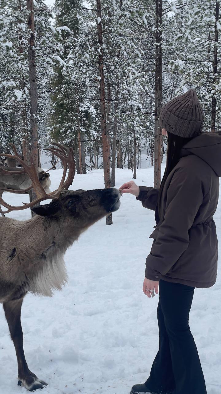 Саамская экскурсия и обновленная программа мероприятий