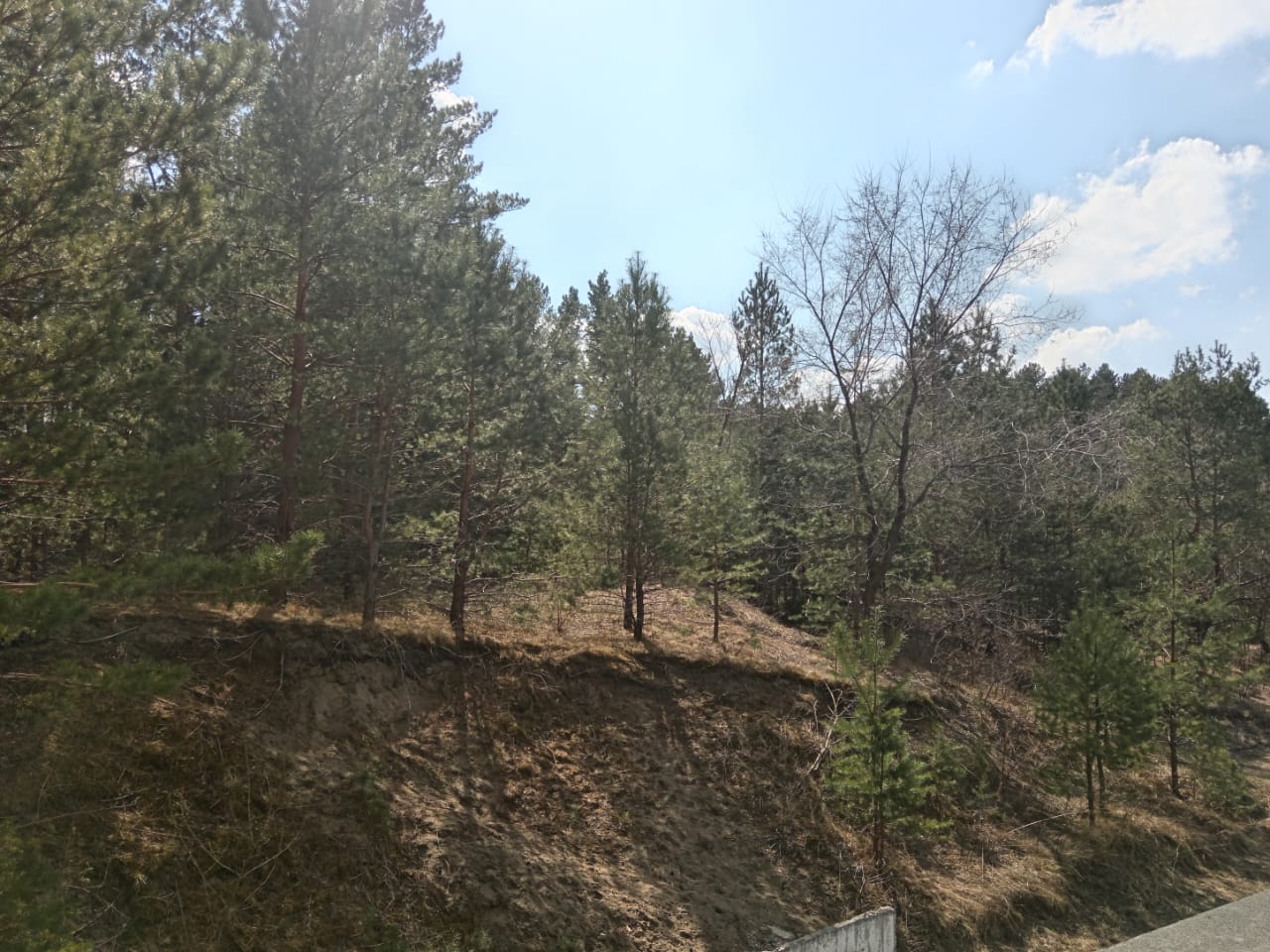 Масштабный субботник по уборке лесопарковой зоны АБ 26 апреля 2025 года