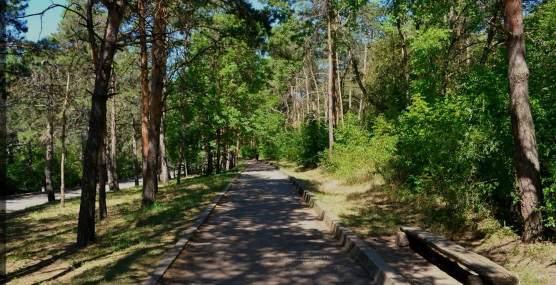 Масштабный субботник по уборке лесопарковой зоны АБ 26 апреля 2025 года