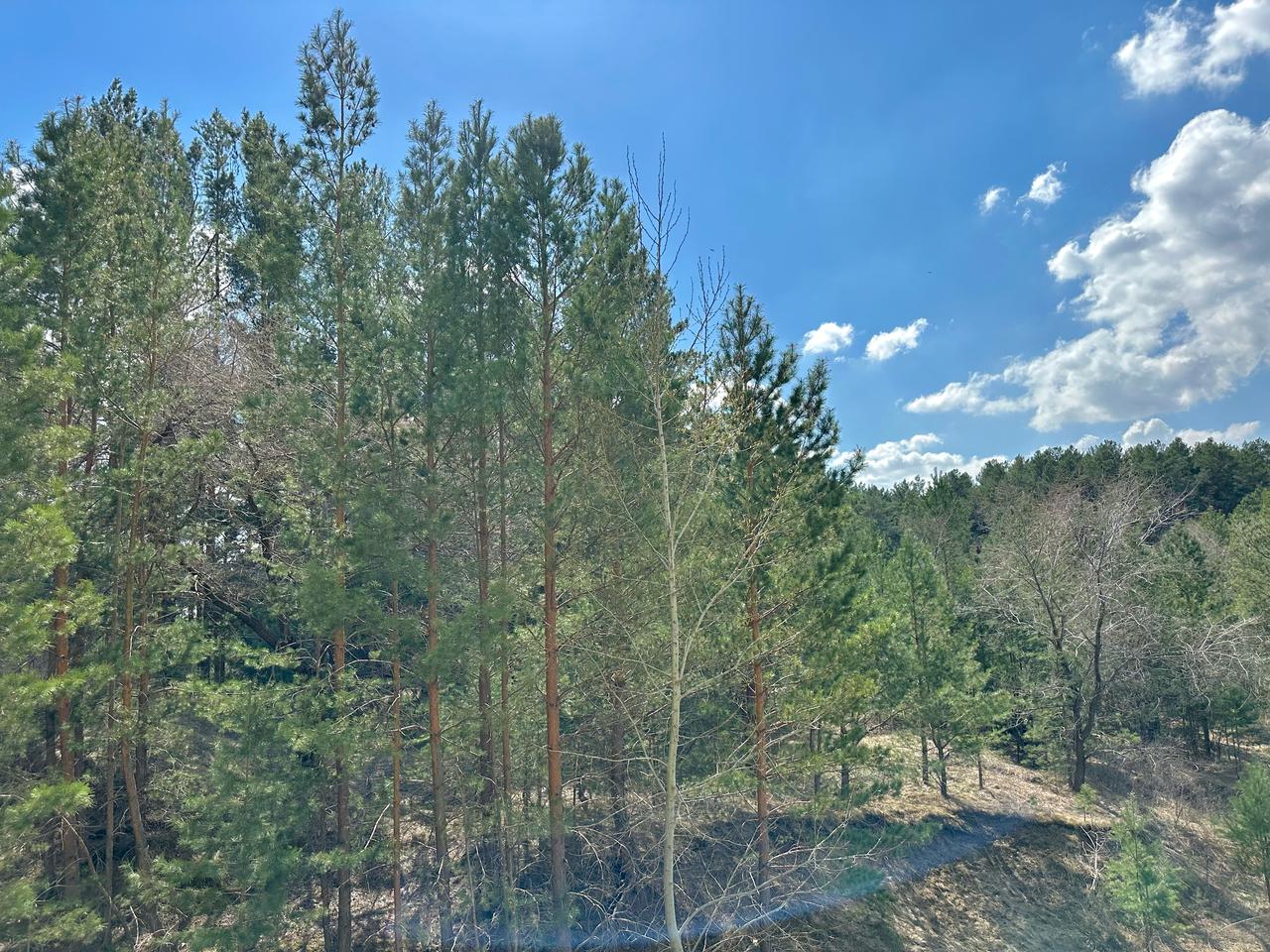 Масштабный субботник по уборке лесопарковой зоны АБ 26 апреля 2025 года