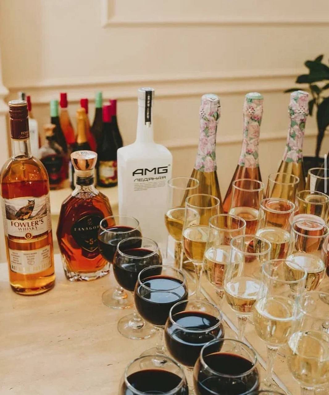 Демократия 4⭐️, Сукко