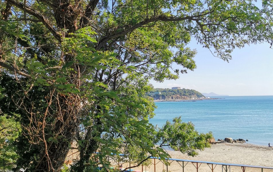 Отдых в мае на берегу прекрасной бухты