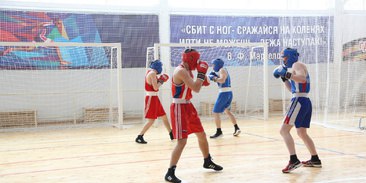 Новый центр бокса в Городце