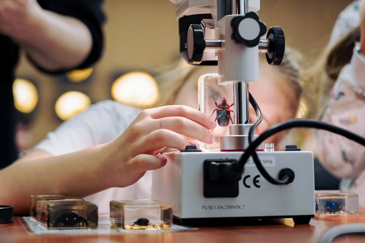 Путешествие в мир жуков