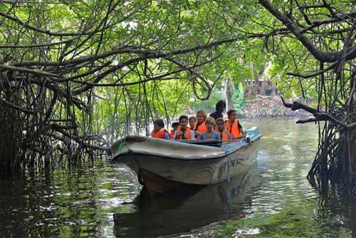 Форт в Галле + Речное сафари