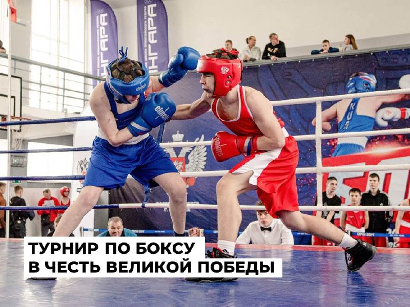 Международный турнир по боксу, соберёт в Ангарске более 150 спортсменов