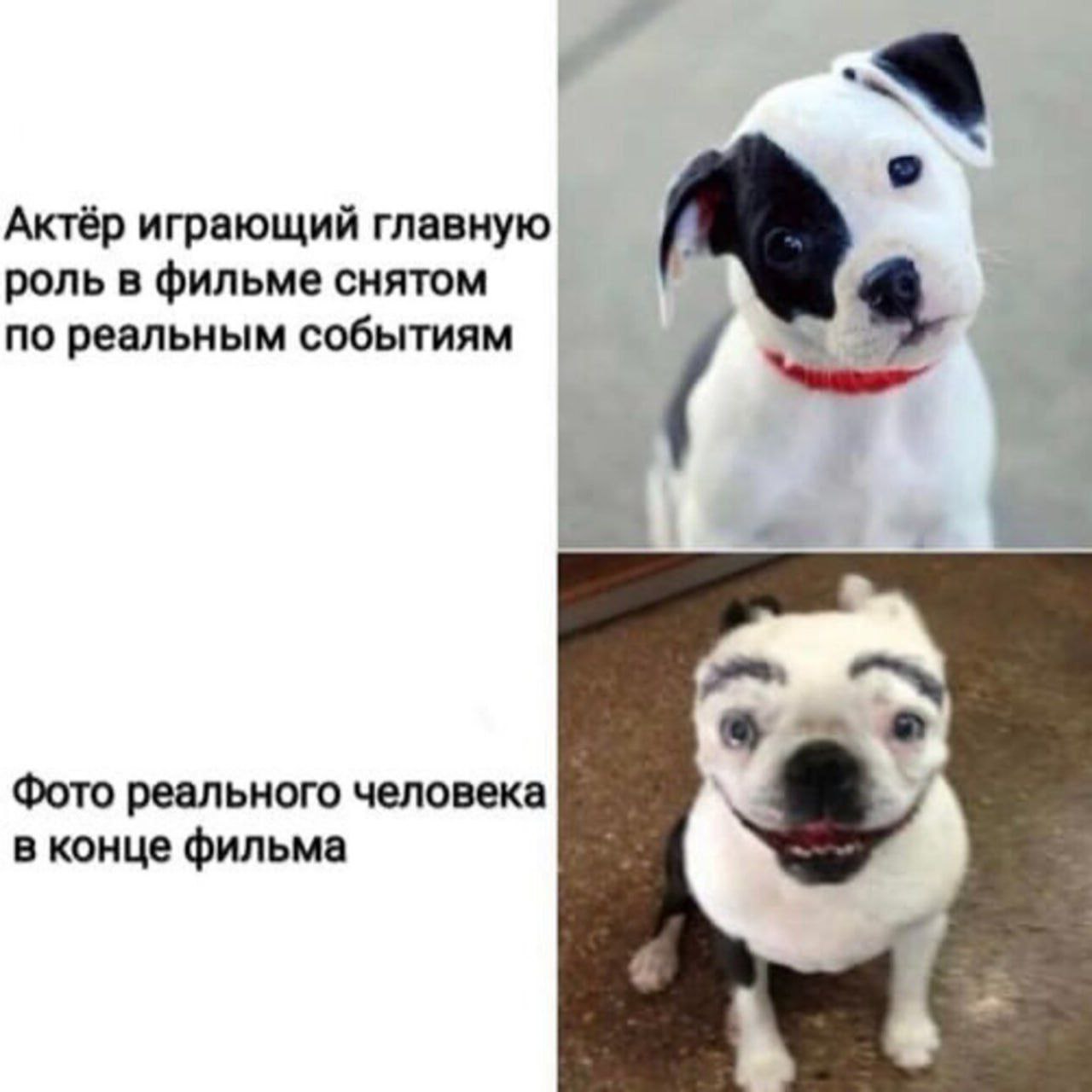 Киномания #6 по жанрам