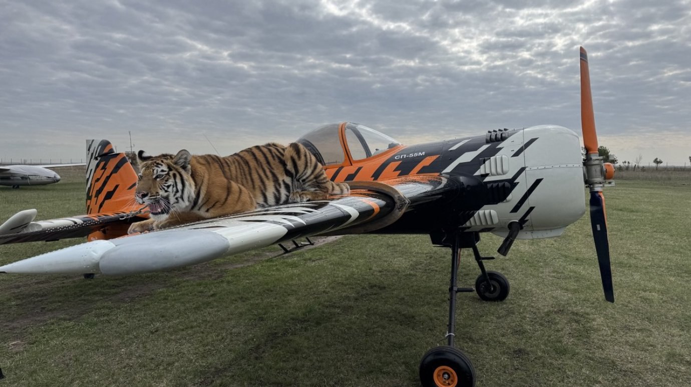 9 Мая в Пензе: авиашоу и пилотажная группа Федерации авиации общего назначения России