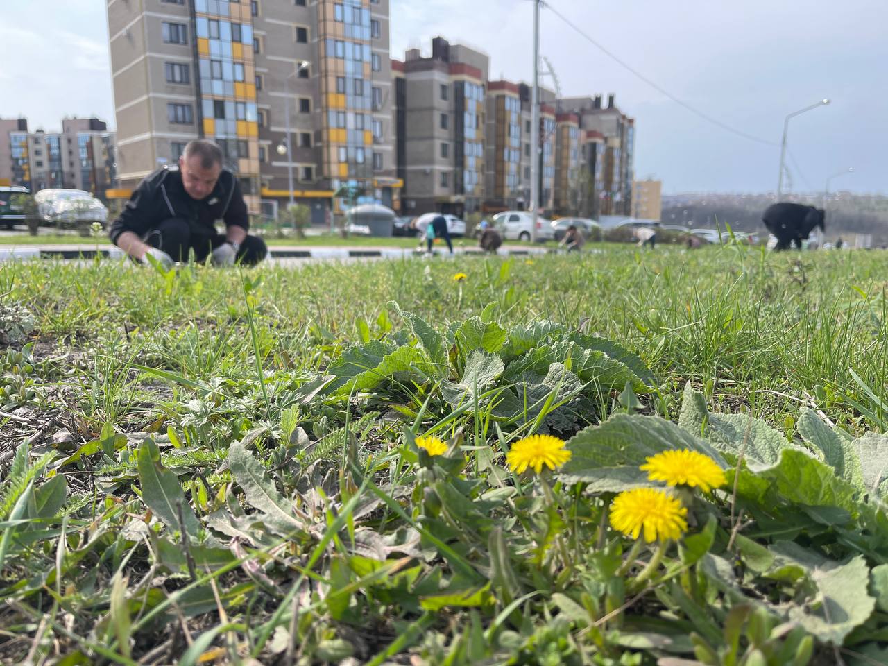 Все на субботник!