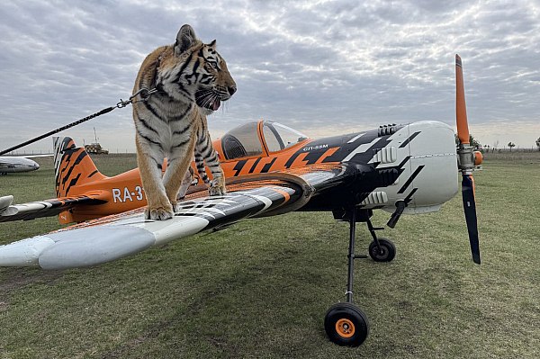 День Победы в Пензе: авиашоу