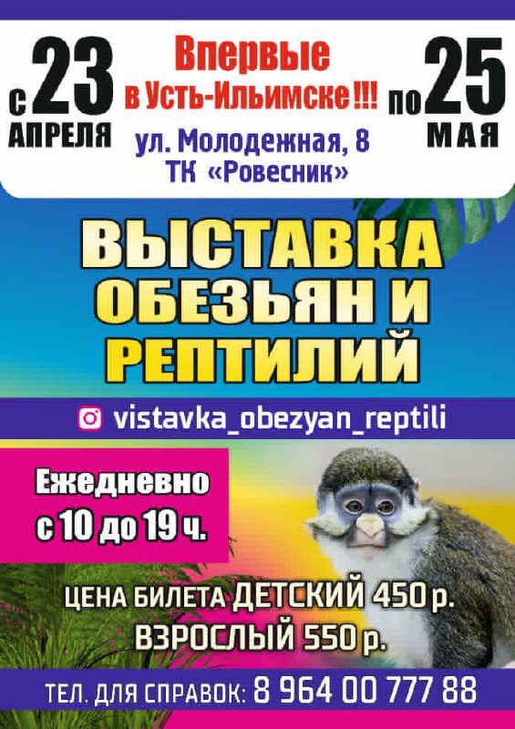 Выставка обезьян и рептилий в Усть-Илимске