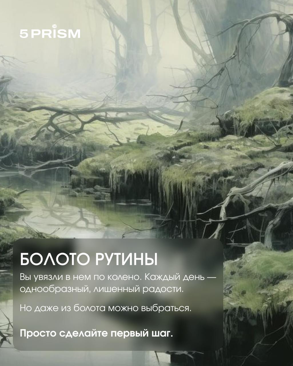 Новое настоящее за 5 дней