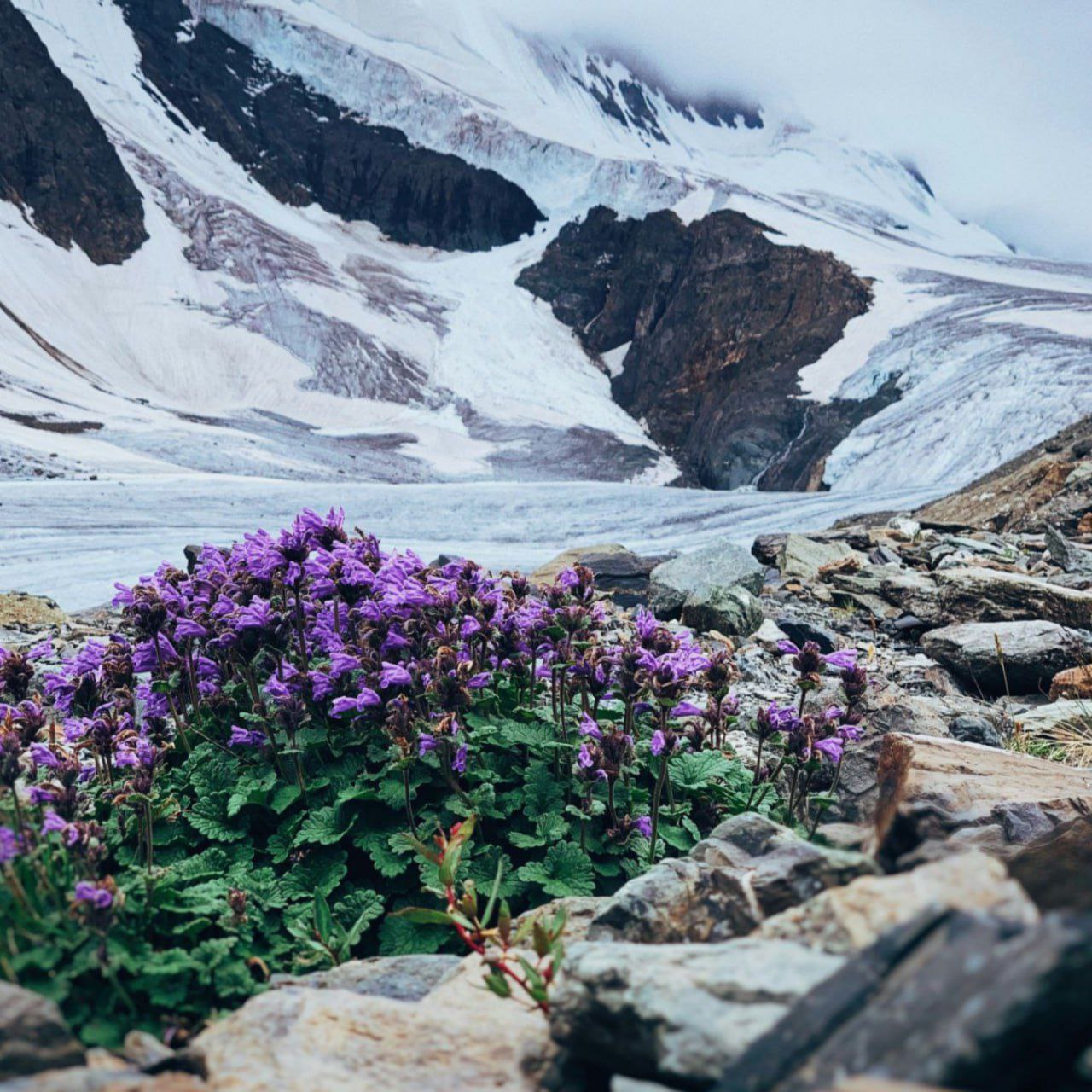 Автобусный тур на майские праздники по Алтаю (01-07 мая 2025)