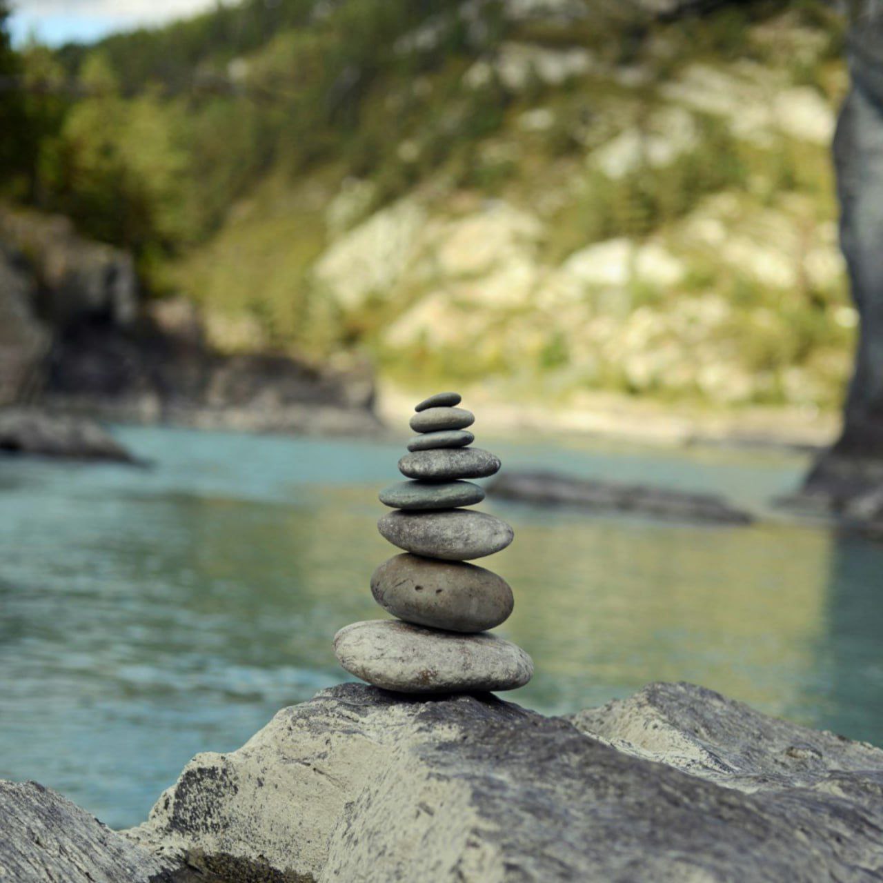 Автобусный тур на майские праздники по Алтаю (01-07 мая 2025)