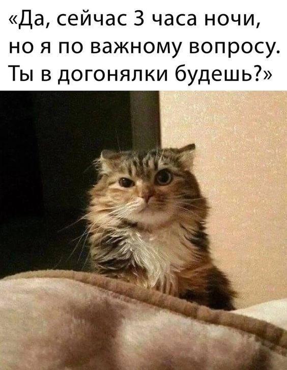 воскресный забег