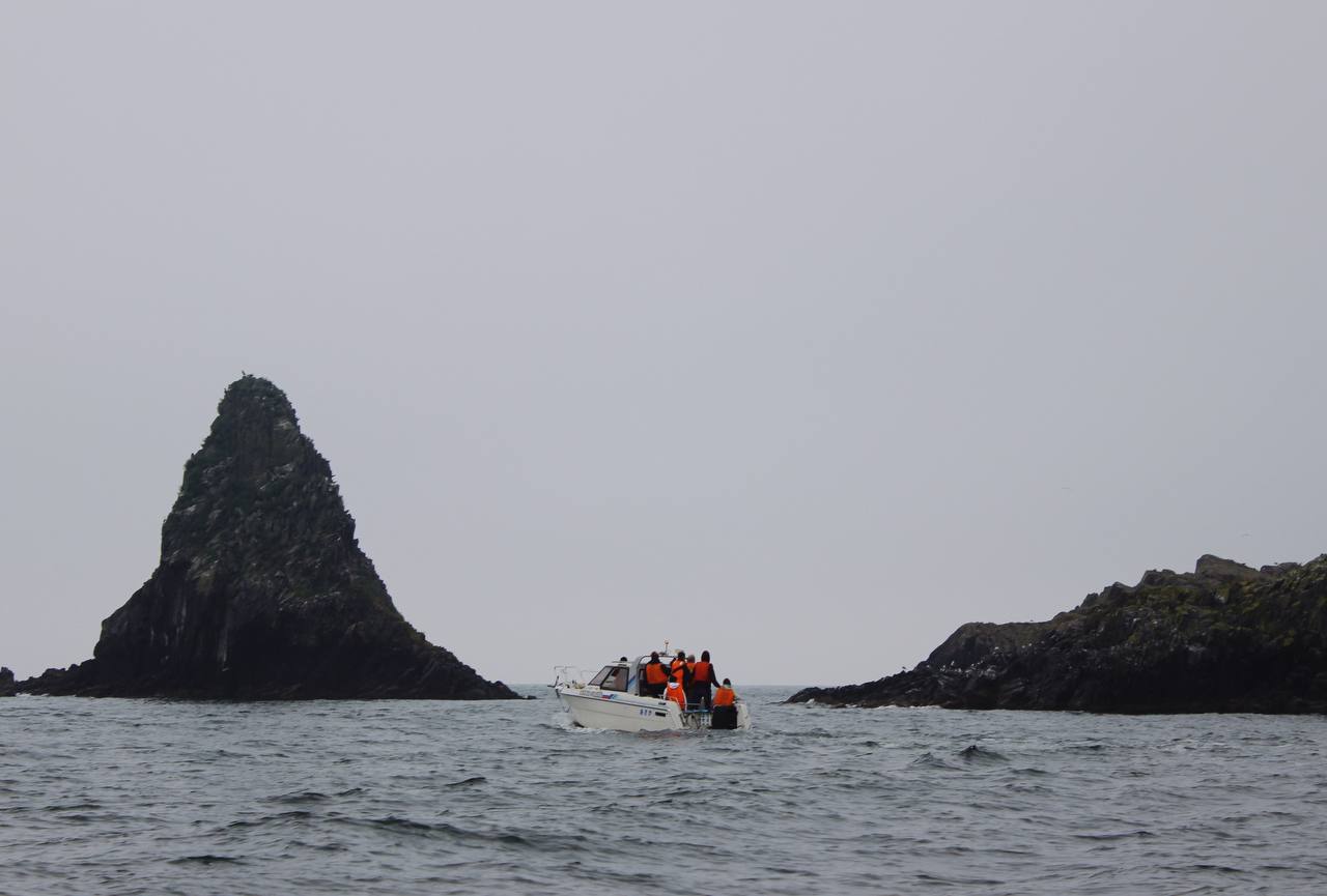 тур на Брюса