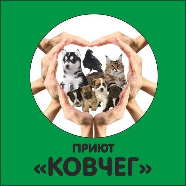 выставка "ПРИСТРОЙ" в парке "Фрунзе" и на Мысе Любви