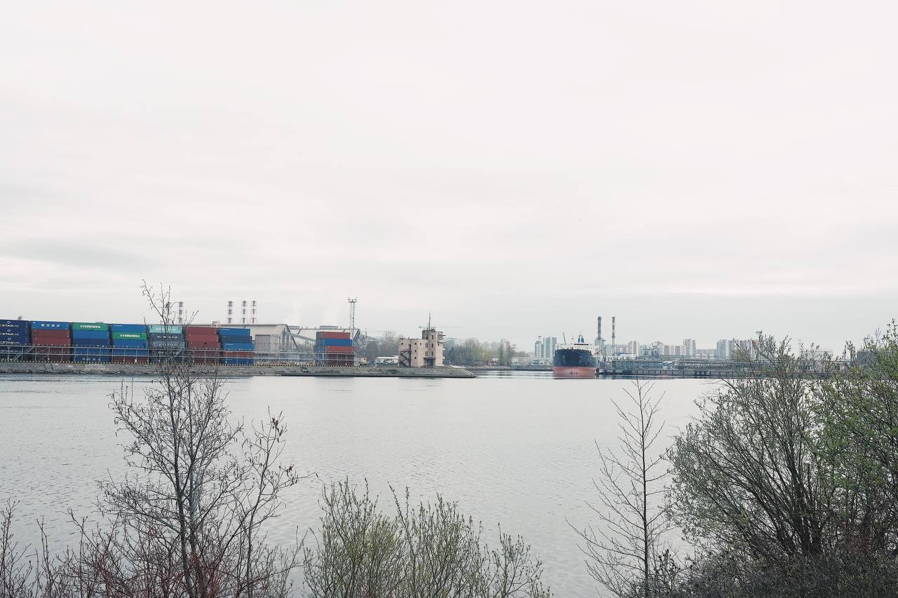 Дмитрий Егоров «Остров»