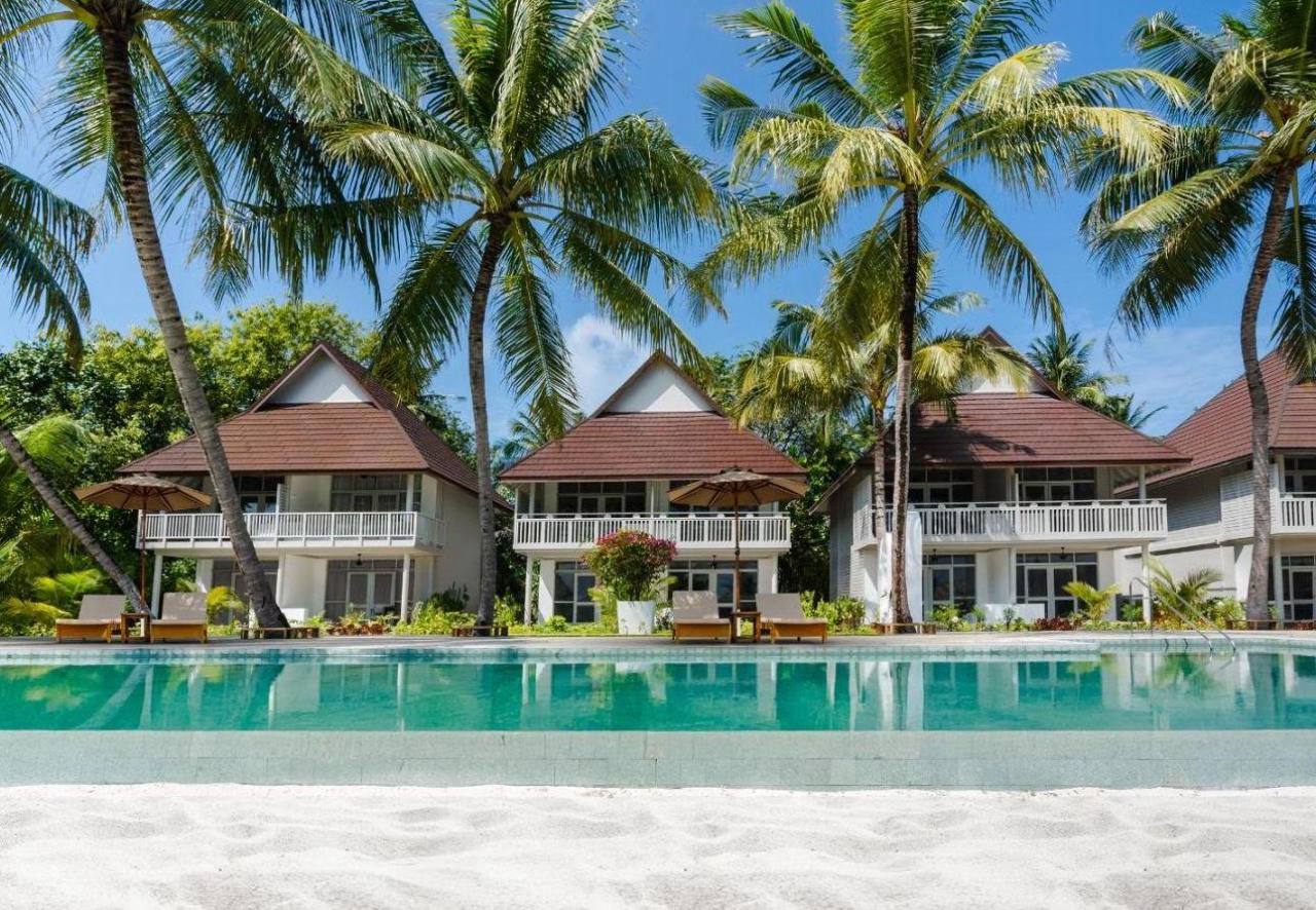 Фокс Кэмп на Мальдивах, ноябрь 2025