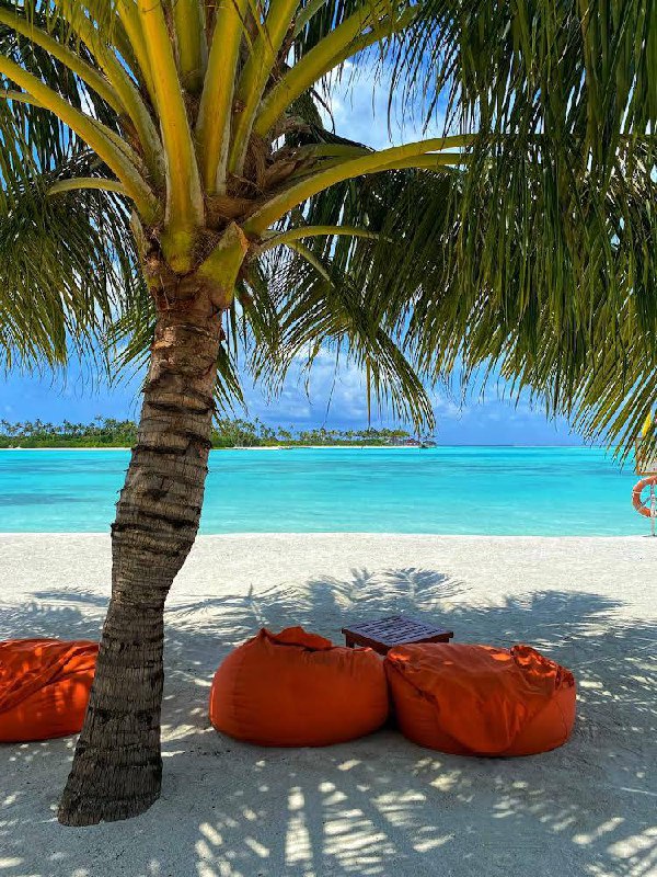 Фокс Кэмп на Мальдивах, ноябрь 2025