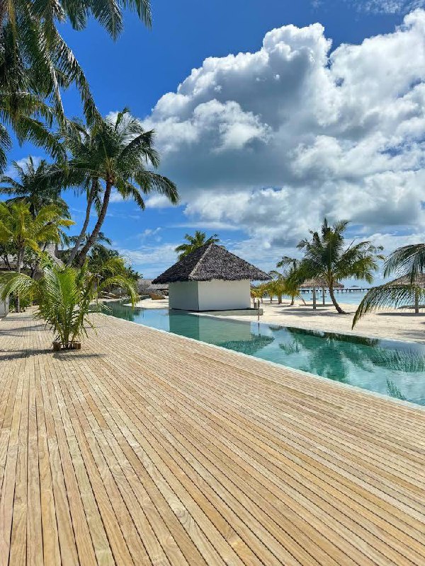 Фокс Кэмп на Мальдивах, ноябрь 2025