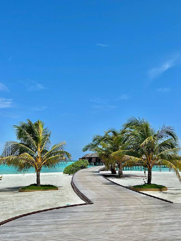 Фокс Кэмп на Мальдивах, ноябрь 2025