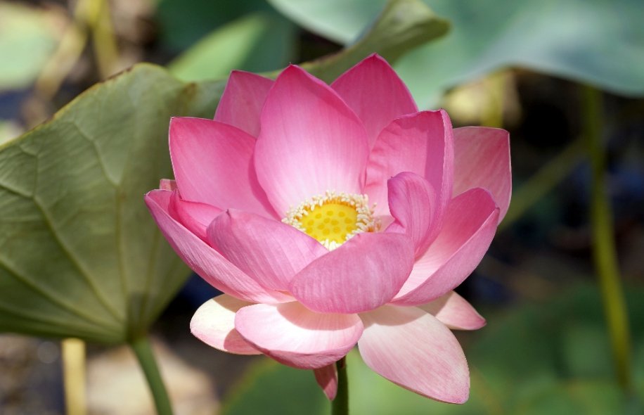 ПОПРОБУЙ АСТРАХАНЬ НА ВКУС