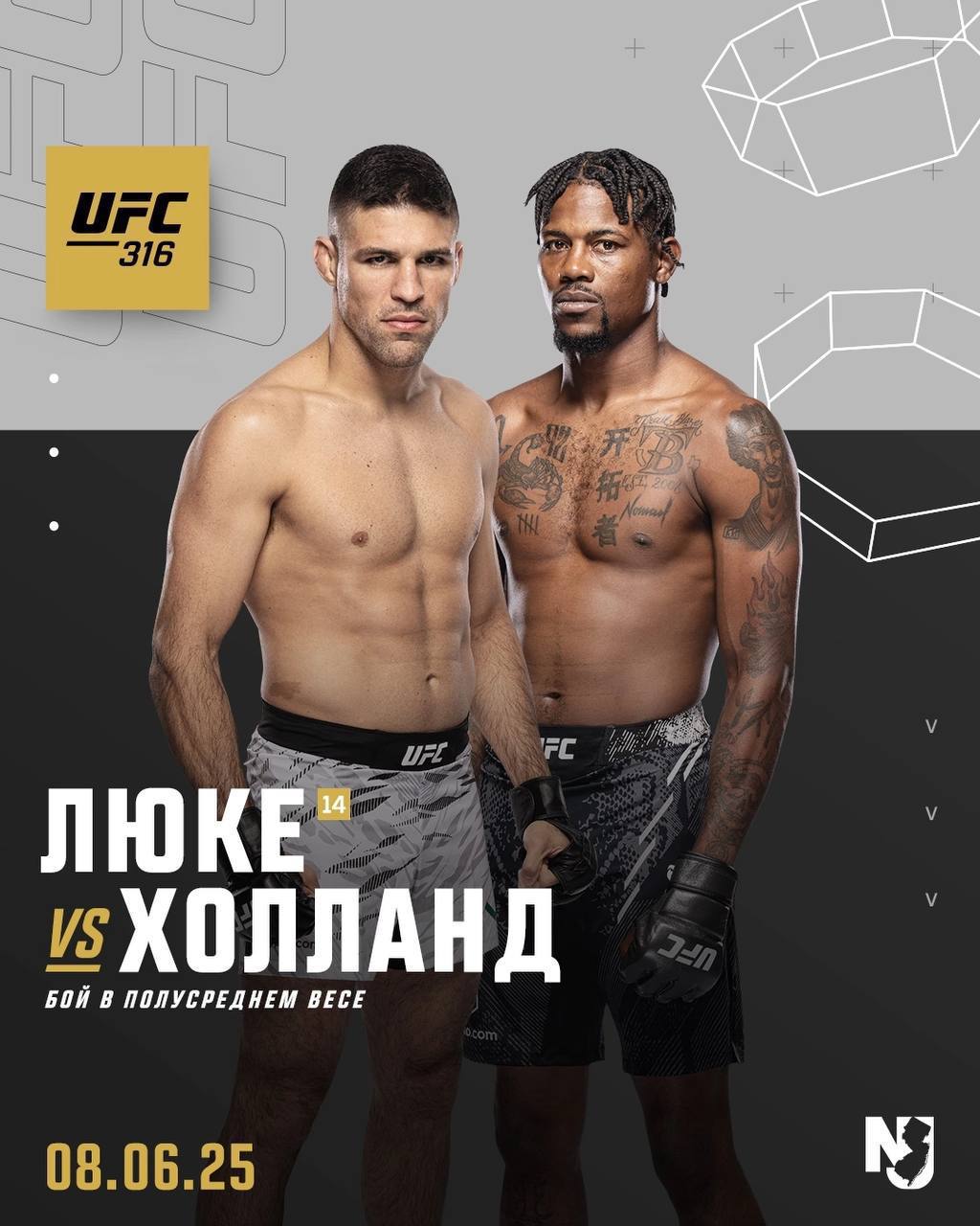 UFC316 fight event with Kevin Holland and Luke