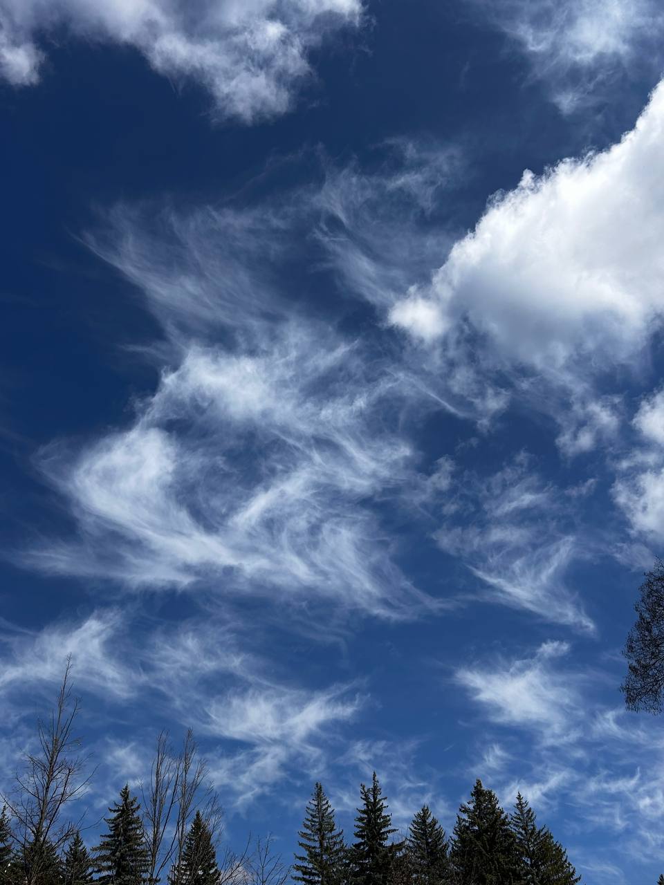 От семени к болезни