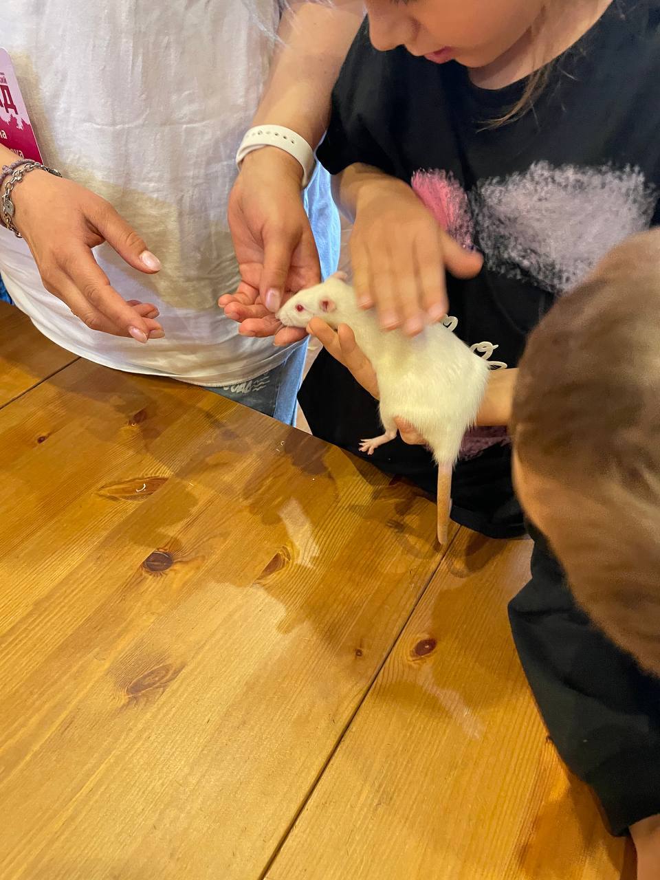 Живая физиология