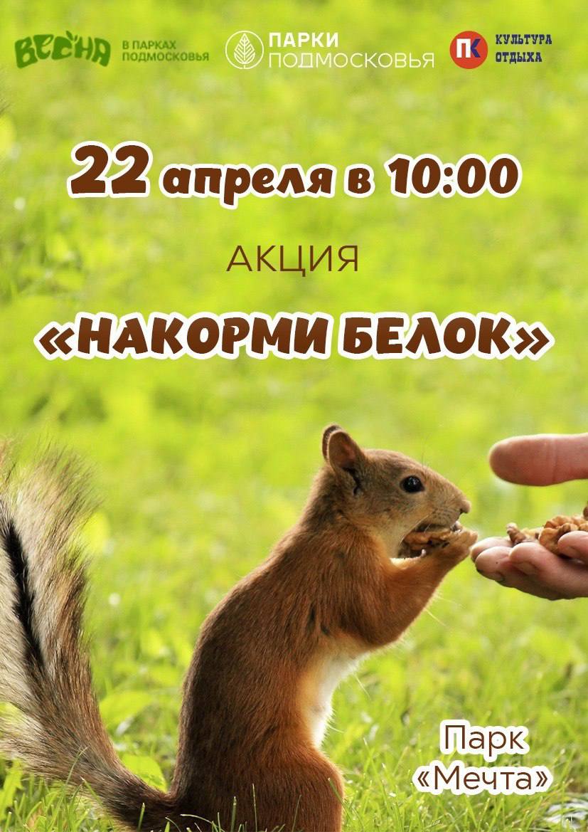 акция «Накорми белок»