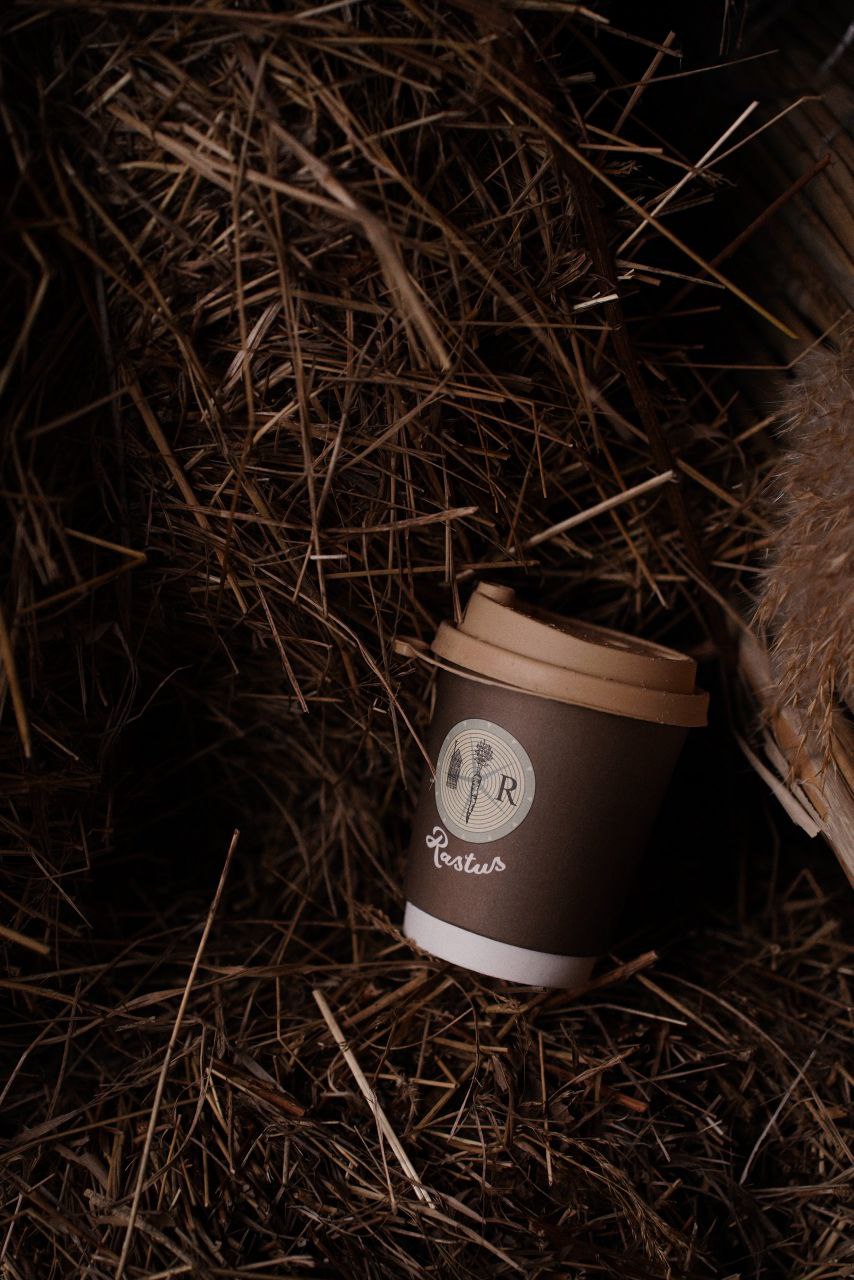 Готовим из дикоросов