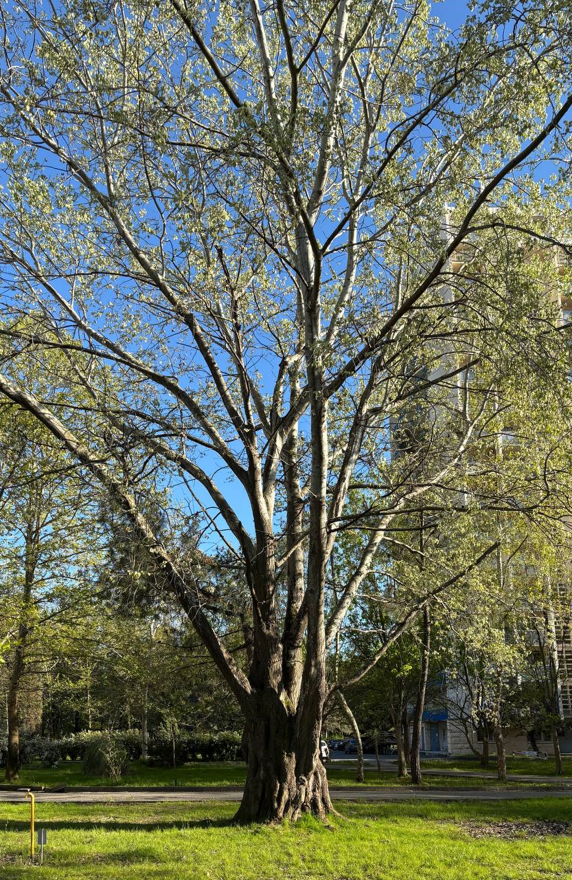 Кто в Сочи?! Адлер 🌊