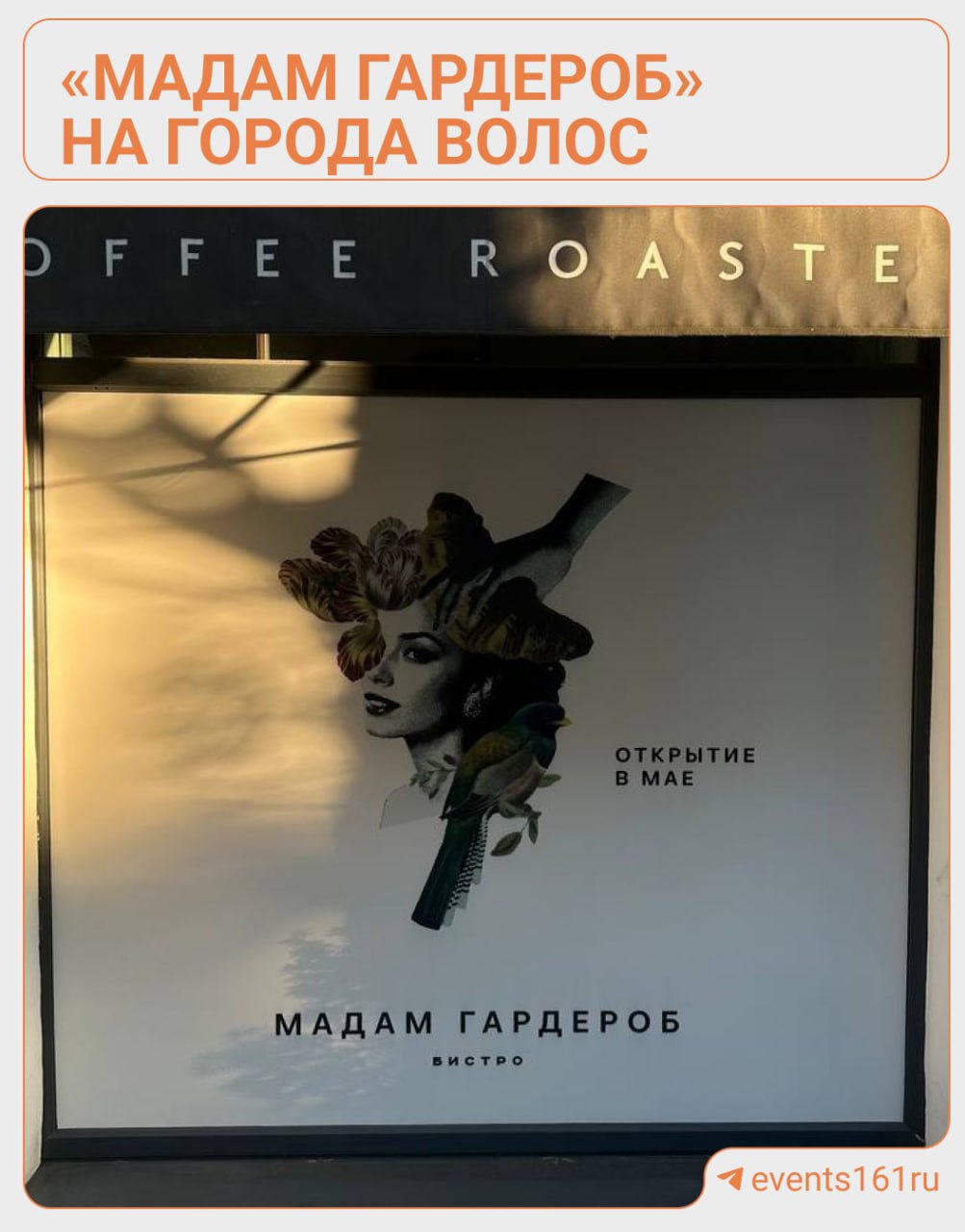 Мадам Гардероб