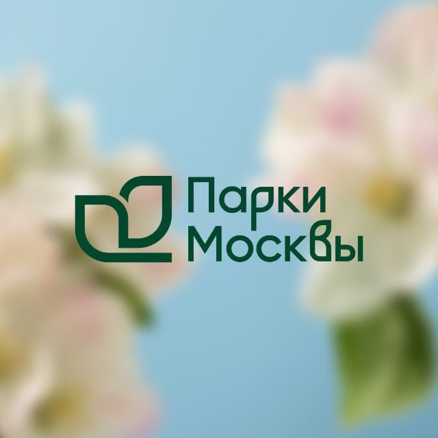 День московских парков