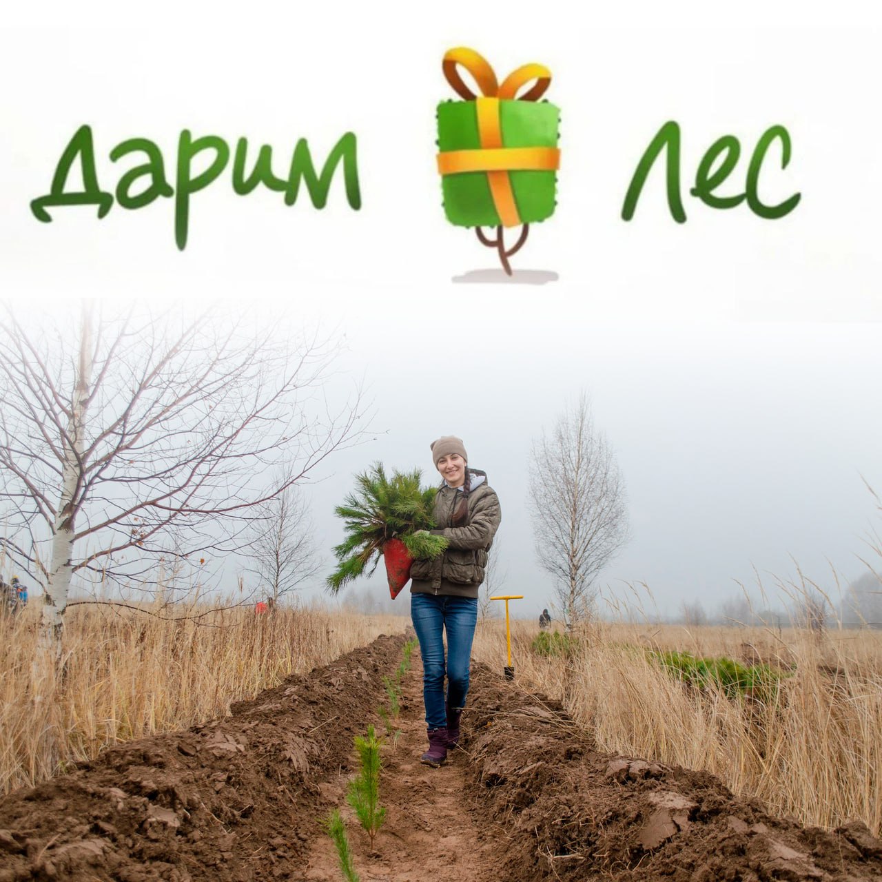 ДАРИМ ЛЕС-2025