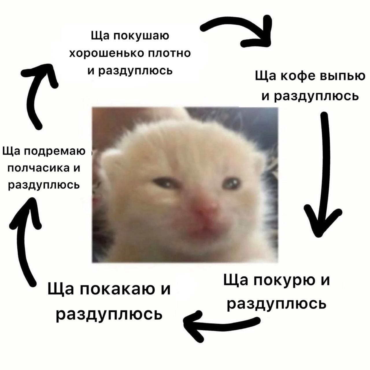 каппинг в «Мама варит кофе»