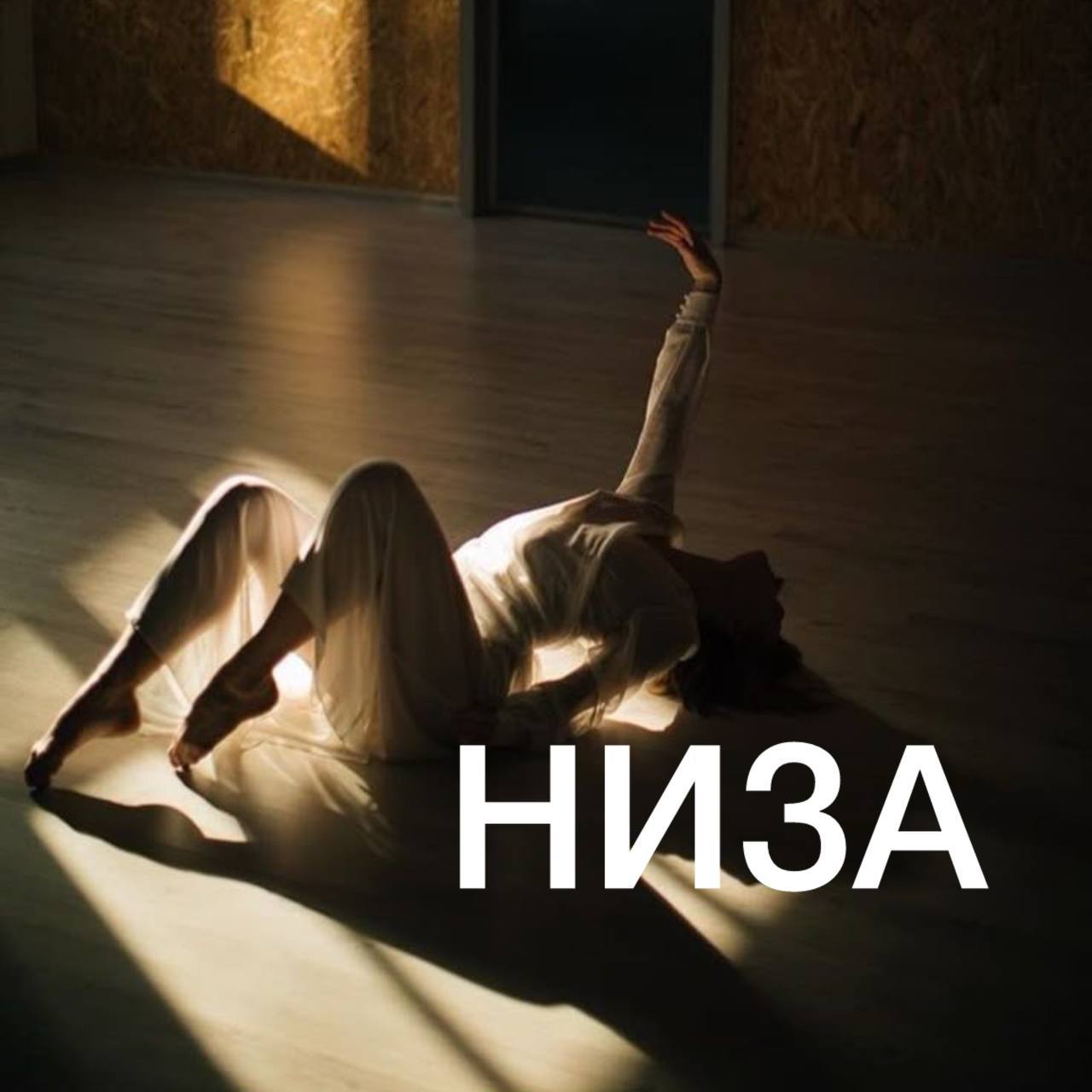 СИЛА ЖЕНСКОГО НИЗА