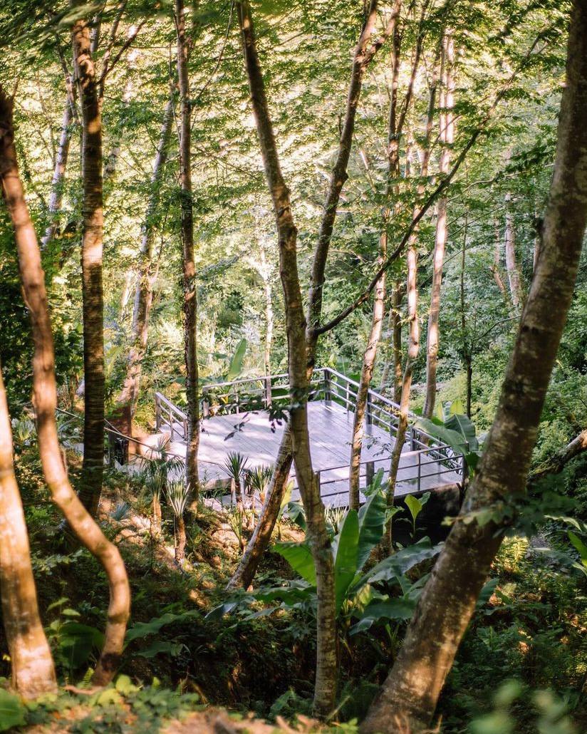День открытых дверей в Нараяна-центре