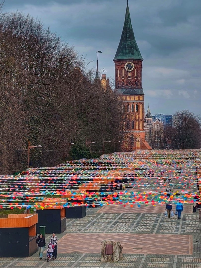 Неделя еды и музыки